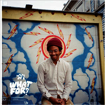 Toro Y Moi — What For? (Download Code) 앨범 커버