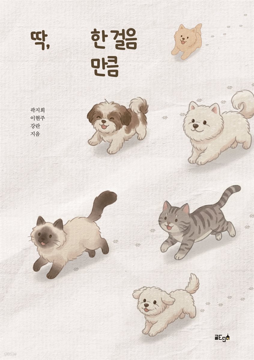 딱 한 걸음 만큼