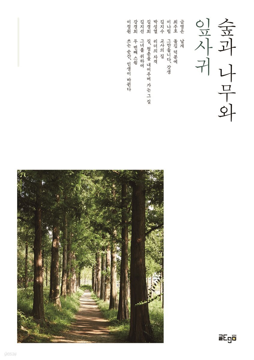 숲과 나무와 잎사귀