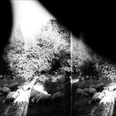 Godspeed You! Black Emperor — Asunder Sweet & Other Distress (Download Code) 앨범 커버