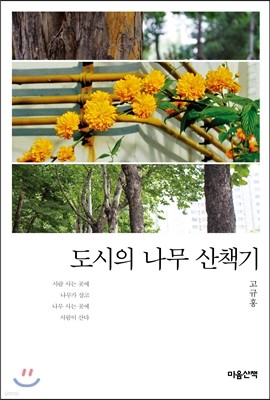 도시의 나무 산책기