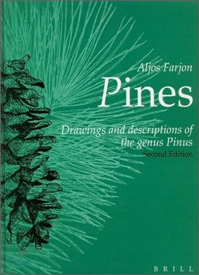 Pines: Drawings and Descriptions of the Genus Pinus