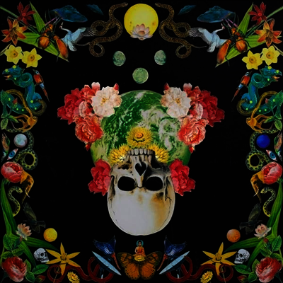 Hippie Death Cult — Helichrysum 앨범 커버