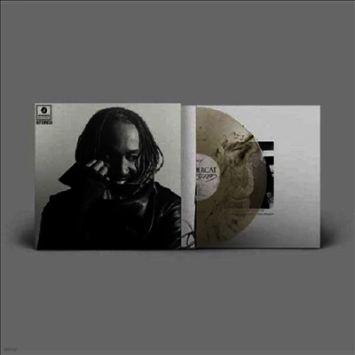 Thundercat — Distracted (US Indie Exclusive) 앨범 커버