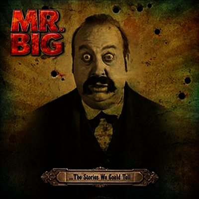 Mr. Big - Stories We Could Tell (Ltd. Ed)(Vinyl 2LP)