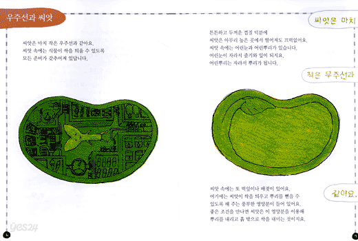 알과 씨앗