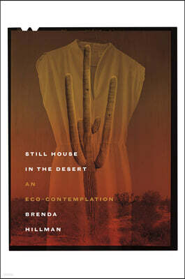 Still House in the Desert: An Eco-Contemplation