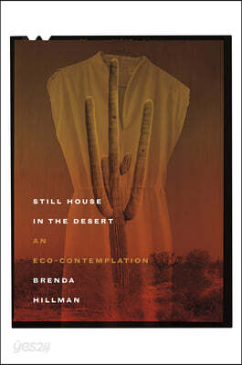 Still House in the Desert: An Eco-Contemplation
