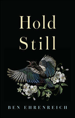Hold Still