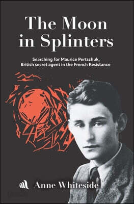 The Moon in Splinters