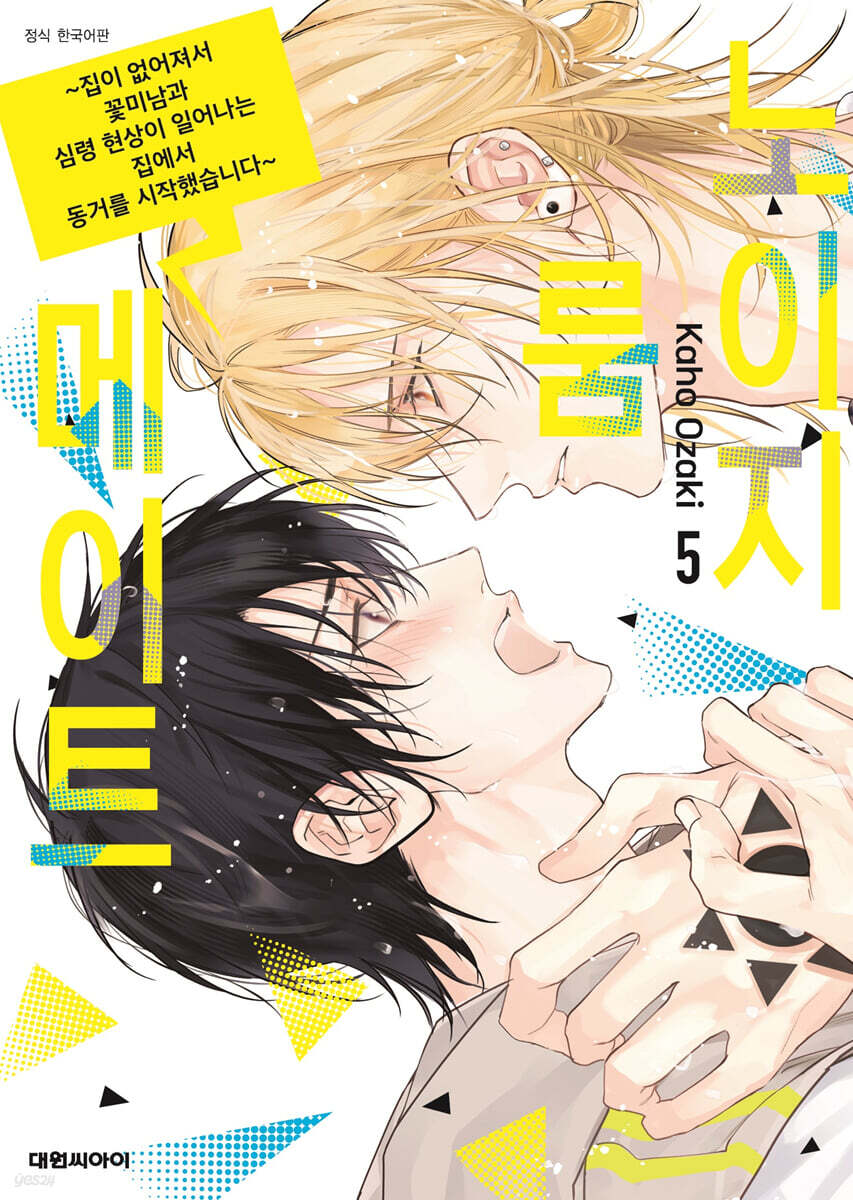 노이지 룸메이트 05권
