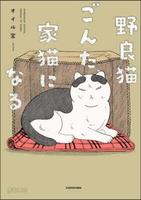野良猫ごんた,家猫になる