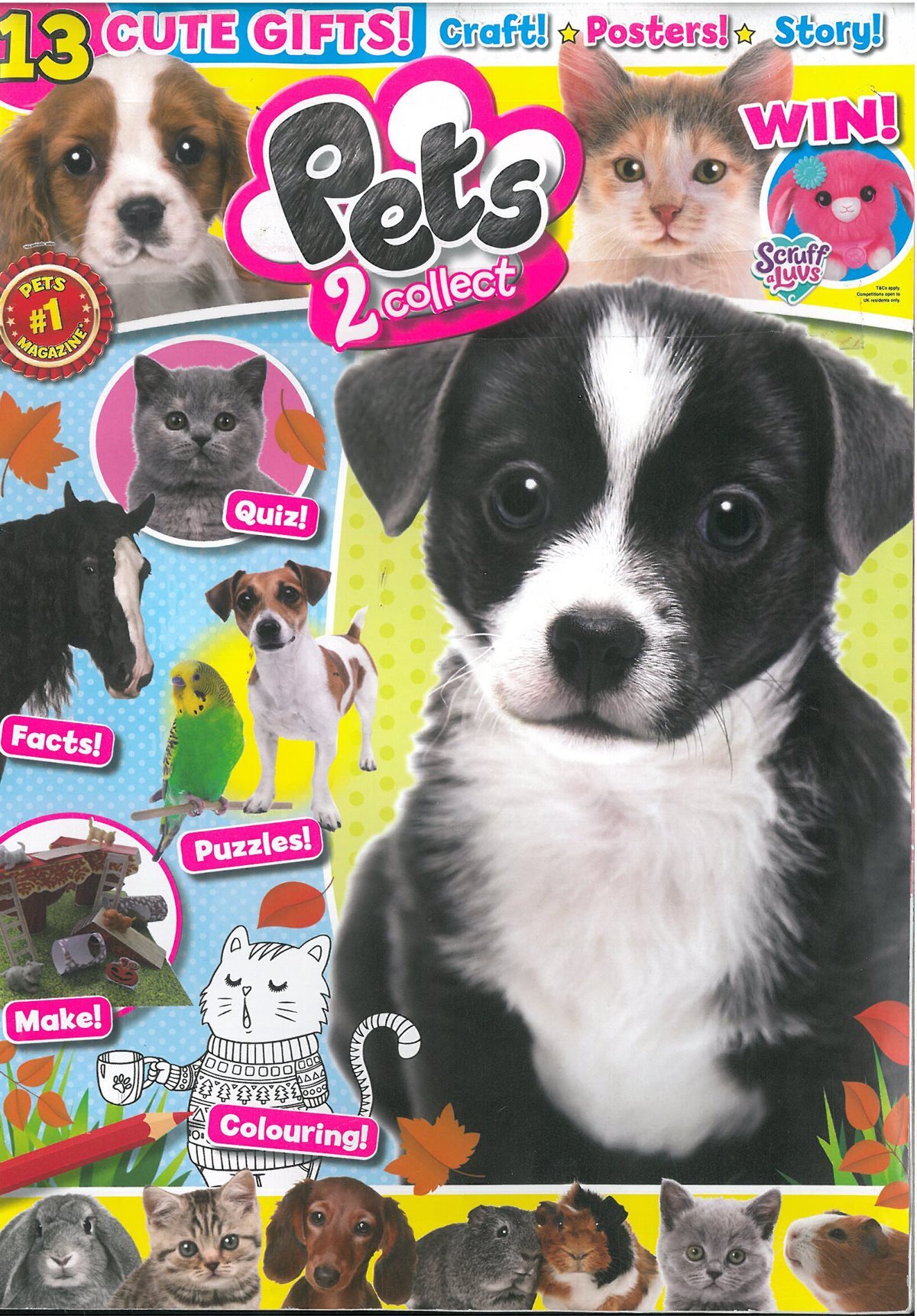 PETS 2 COLLECT   (월간) : 2026년 no.154