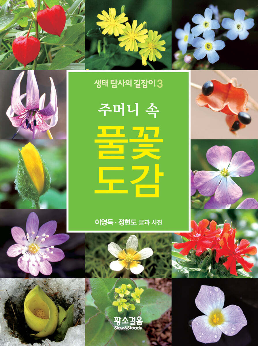 주머니 속 풀꽃 도감