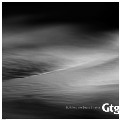 DJ Mitsu The Beats — Gtg Feat. Reina 앨범 커버