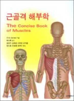 [중고-상] 근골격 해부학