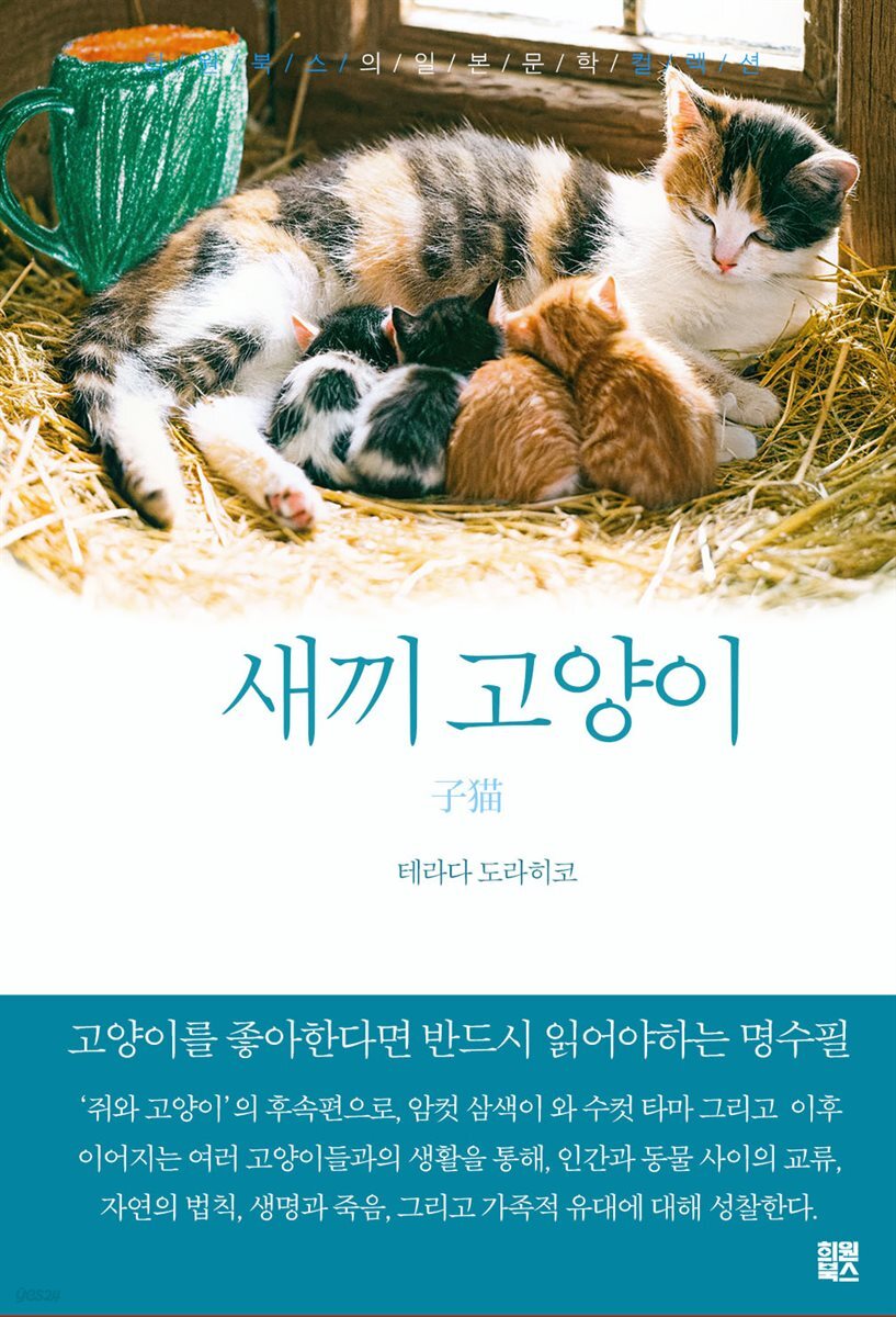 새끼고양이