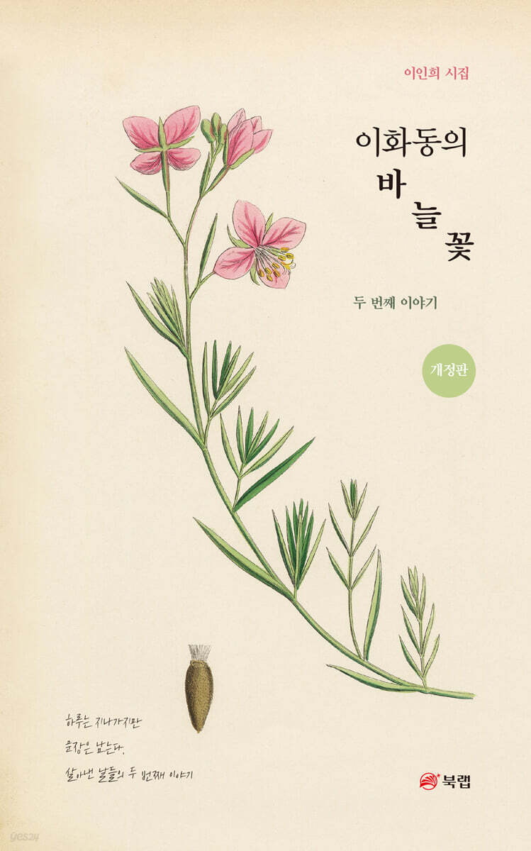 이화동의 바늘꽃 두 번째 이야기