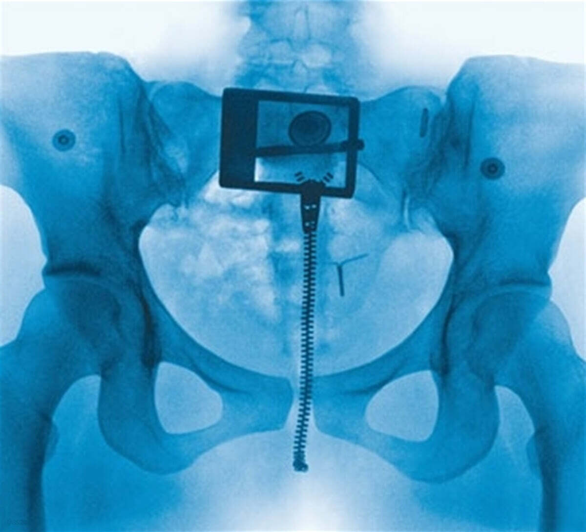 Lorde (로드) - 4집 Virgin [LP]