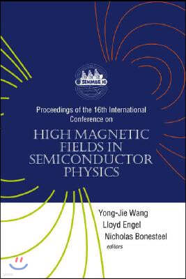 High Magnetic Fields in Semiconductor Physics - Proceedings of the 16th International Conference