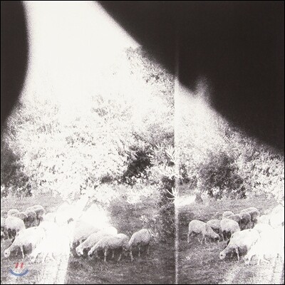 Godspeed You! Black Emperor — Asunder Sweet & Other Distress 앨범 커버