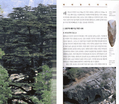도서명 표기