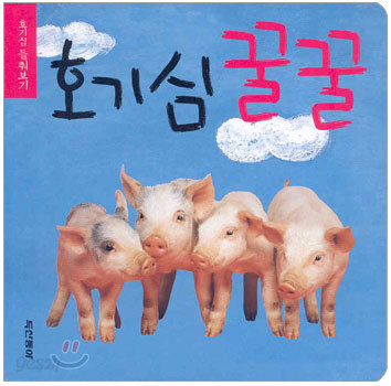 호기심 꿀꿀