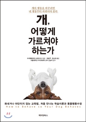 개, 어떻게 가르쳐야 하는가