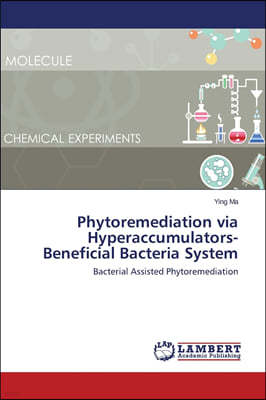 Phytoremediation via Hyperaccumulators-Beneficial Bacteria System