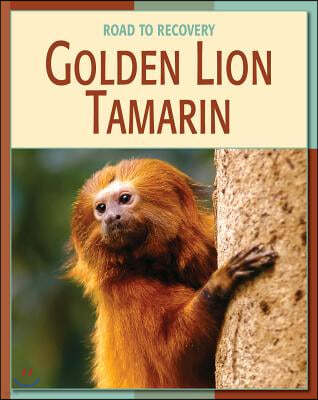 Golden Lion Tamarin