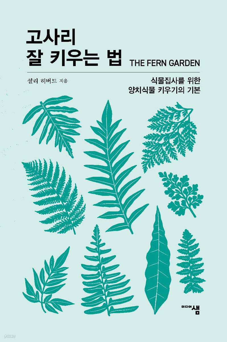 고사리 잘 키우는 법