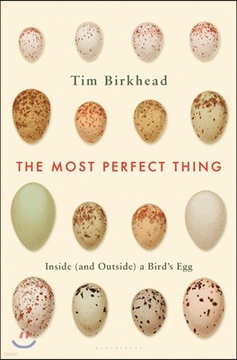 The Most Perfect Thing: Inside (and Outside) a Bird's Egg