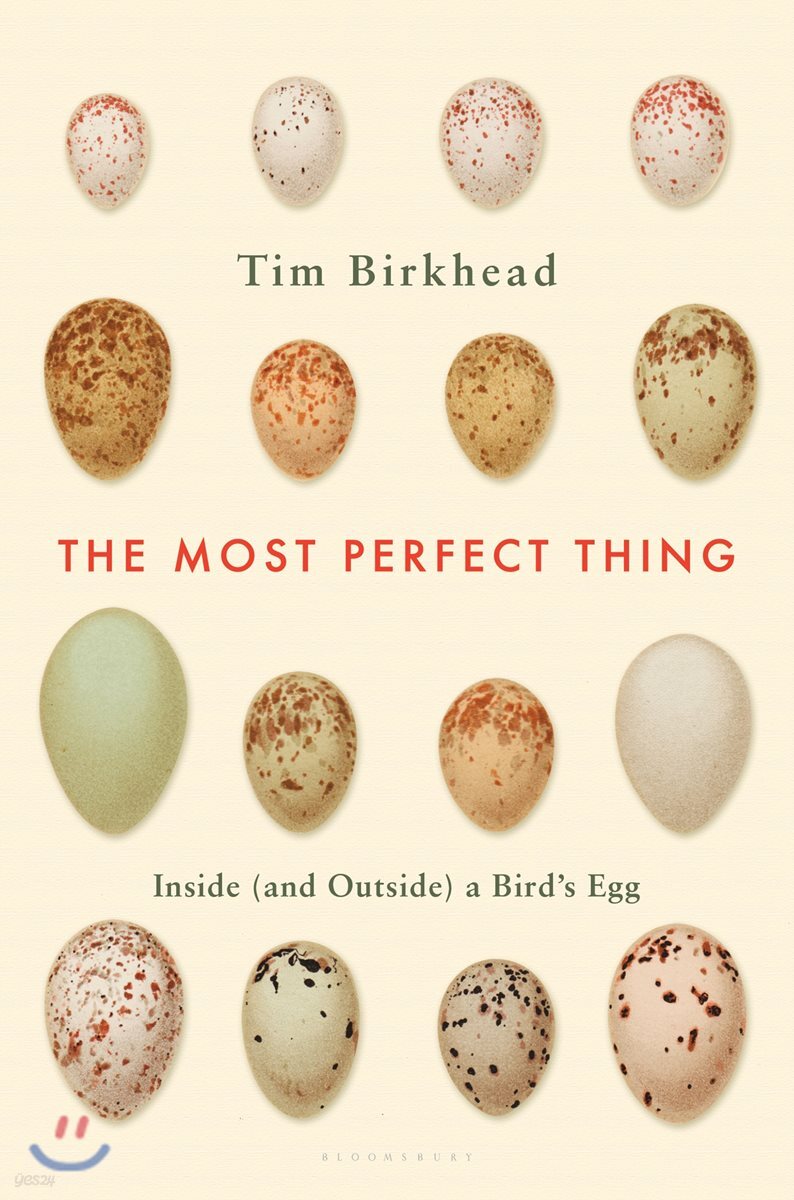The Most Perfect Thing: Inside (and Outside) a Bird's Egg