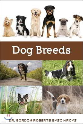 Dog Breeds: A vet's guide to the worlds most popular dog breeds