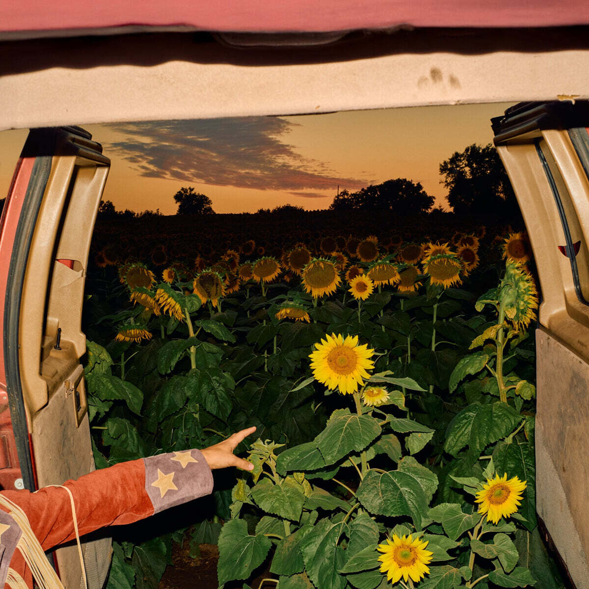 Kevin Morby (케빈 모비) - 8집 Little Wide Open