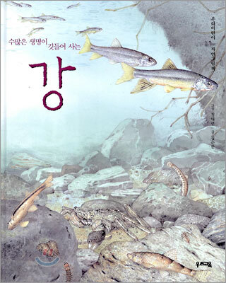 수많은 생명이 깃들어 사는 강