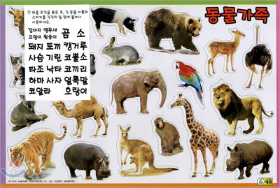 동물가족