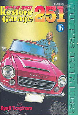   251 Restore Garage 251 (16)