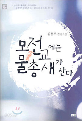 모전교에는 물총새가 산다