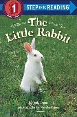 Step Into Reading 1 : The Little Rabbit