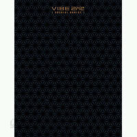 바이브 (Vibe) 2집 Special Edition
