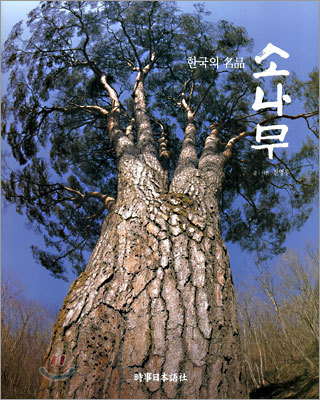 한국의 명품 소나무