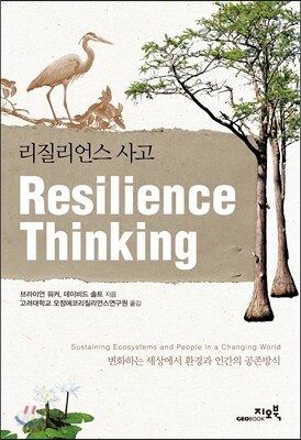 리질리언스 사고