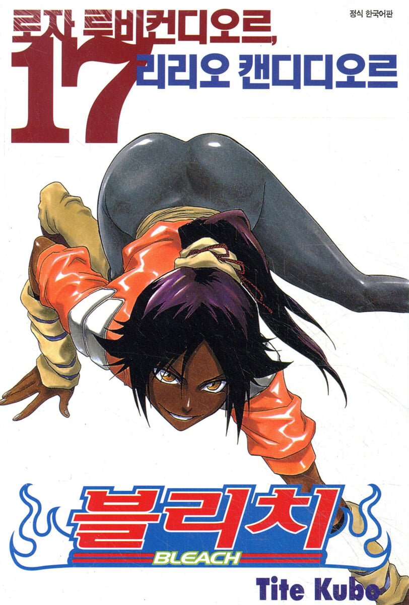 블리치 BLEACH 17