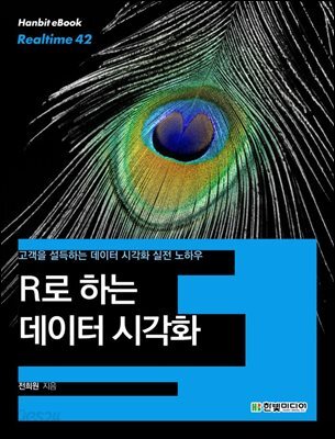 R로 하는 데이터 시각화 : 고객을 설득하는 데이터 시각화 실전 노하우 - Hanbit eBook Realtime 42