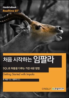 처음 시작하는 임팔라 : SQL로 하둡을 다루는 가장 쉬운 방법 - Hanbit eBook Realtime 87