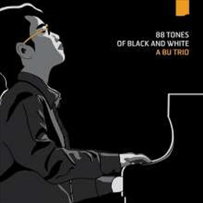 A Bu Trio - 88 Tones Of Black & White (Digipack)(CD+PAL DVD)