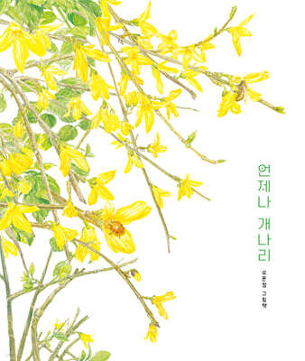 언제나 개나리
