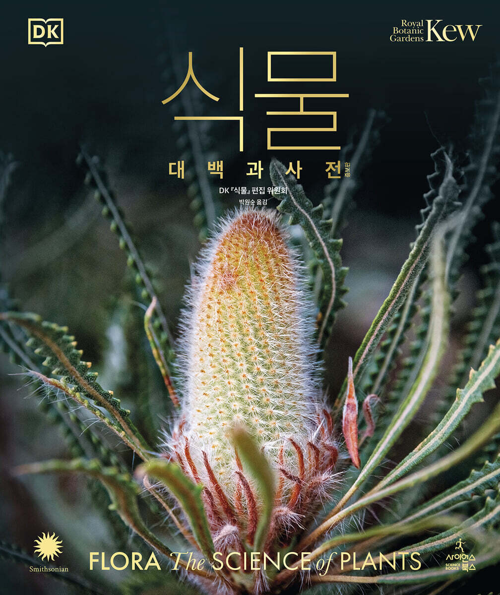 식물