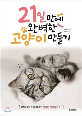 21일 만에 완벽한 고양이 만들기